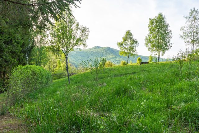Łąka nad Carynką, z widokiem na bieszczadzkie zbocza