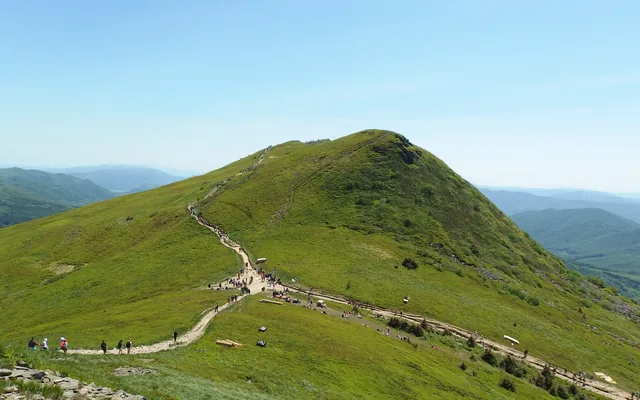 Tarnica widziana z zielonego grzbietu Szerokiego Wierchu